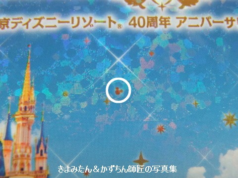 TDR40周年 アニバーサリー・セレクション DVDを購入しました