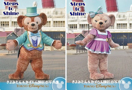 東京ディズニーリゾート コレクションカード14枚セット ステップ・トゥ・シャイン ディズニーシーステップトゥシャインバージョン コレクション