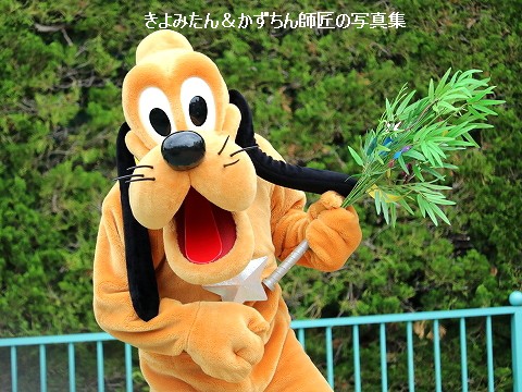 プルートには弟がいる トリビア きよみたん かずちん師匠の写真集 ブログ