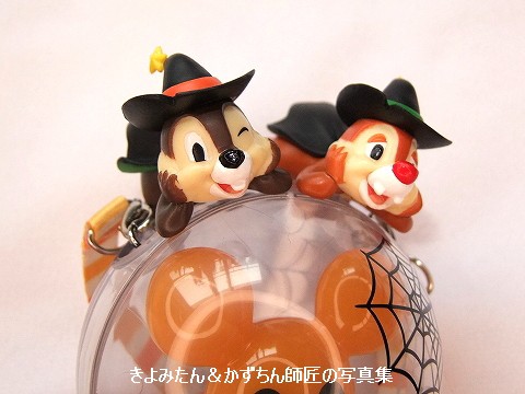ハロウィンのスナックケースと黒染めその後 | ☆やまあこ☆さん