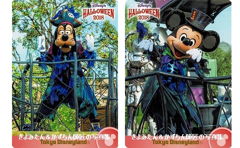 あおたん様✩⋆確認専用ページ バースデーガーランド（ネーム含む） TDL ディズニー・ハロウィーン2018 コレクションカード : きよみたん