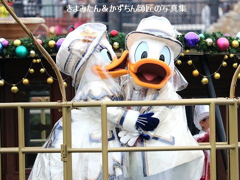 TDS イッツ・クリスマスタイム! 雨の日のキャンセルグリーティング : きよみたん＆かずちん師匠の写真集・ブログ