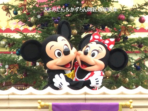 11月18日はミッキーの誕生日 きよみたん かずちん師匠の写真集 ブログ