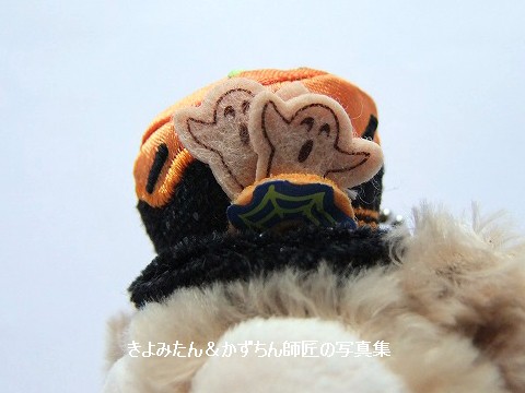 ダッフィー　ストラップ　バッジ　コート 楽天市場】Duffy ダッフィー Pコートコスチューム ぬいぐるみ