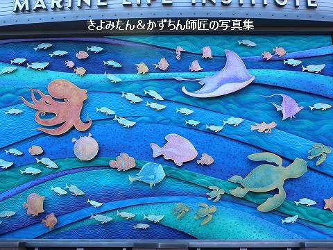 Tds ニモ フレンズ シーライダーのアトラクション近くのデコレーションの紹介 きよみたん かずちん師匠の写真集 ブログ