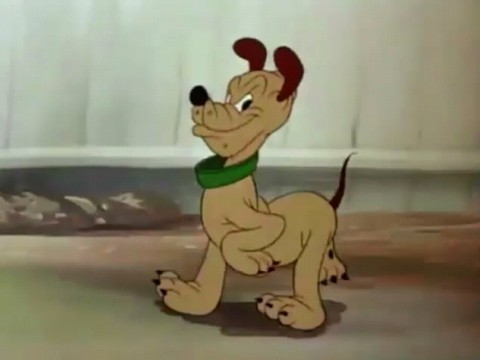 プルートには弟がいる トリビア きよみたん かずちん師匠の写真集 ブログ