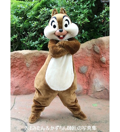 Tdl Tds グリーティング写真集 22年6月 7月 きよみたん かずちん師匠の写真集 ブログ