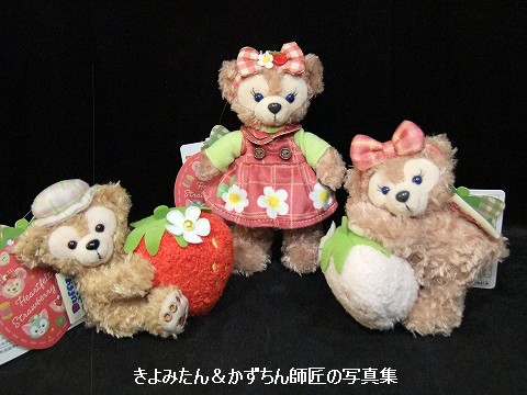 ハートフェルト・ストロベリーギフト ぬいぐるみバッジと