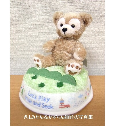 ダッフィーたちのかくれんぼグッズ、ダッフィー プリザーブドフラワー