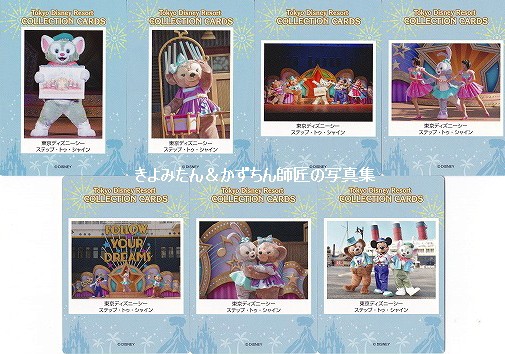東京ディズニーリゾート コレクションカード14枚セット ステップ・トゥ・シャイン ディズニーシーステップトゥシャインバージョン コレクション