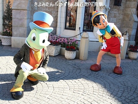 TDL グリーティング写真集（2022年2月 ） : きよみたん＆かず