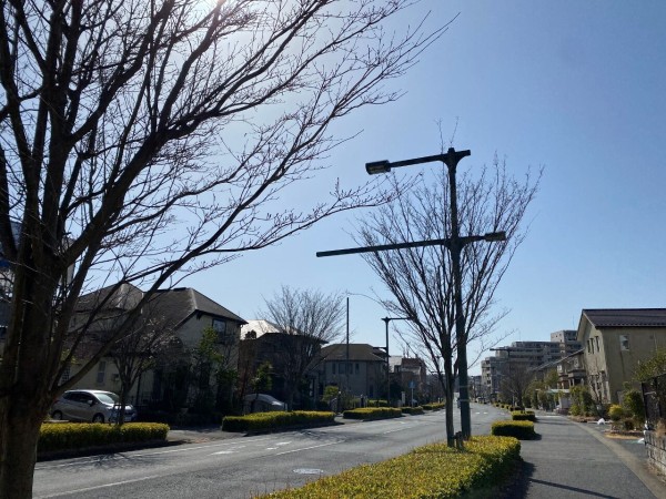 朝トレ四景 そのまま空へ飛んでいきたい きよすけの悠々備忘録