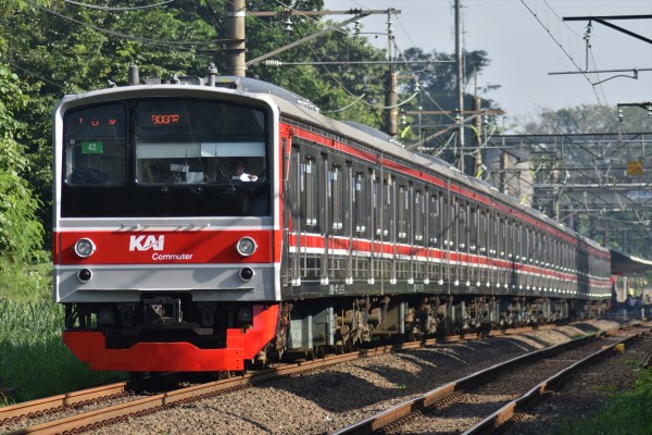 JR東】205系埼京線ハエ30編成要検出場&運用復帰 : JABODETABEK