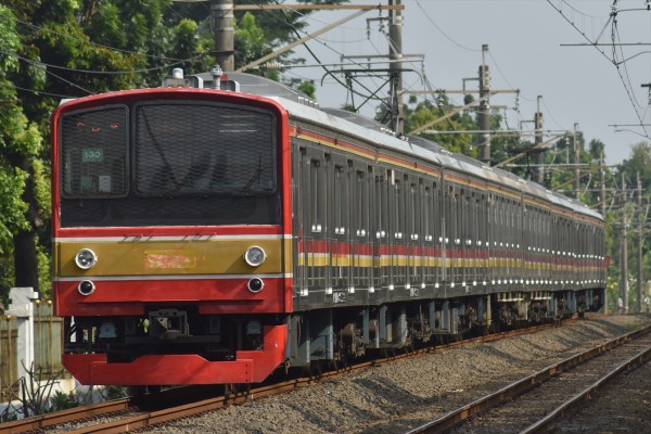 短いメルヘン!!6連で復活!!205系武蔵野線M65編成マンガライへ