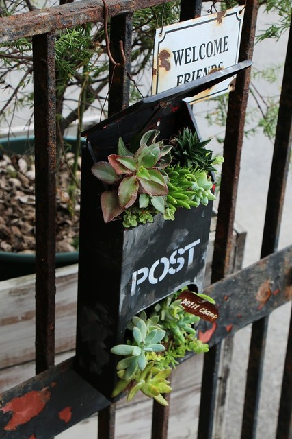 リメ缶・リメイク鉢に多肉植物を植えて、ジャンクガーデンを楽し