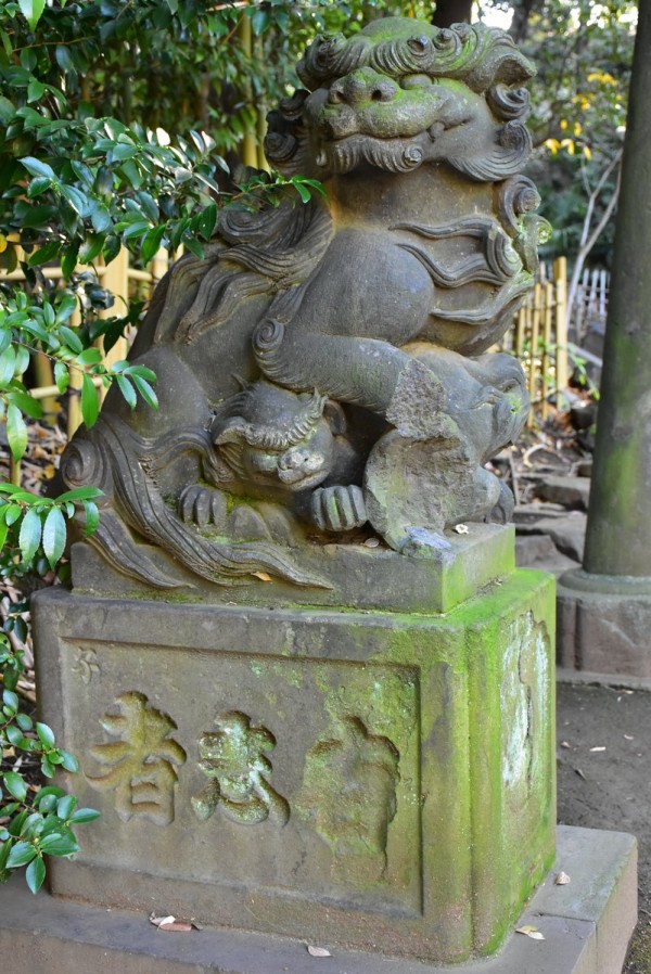 美しき狛犬が棲む渋谷最古の神社 渋谷氷川神社 : 神々に包まれる日々のblog 美しき狛犬が棲む渋谷最古の神社 渋谷氷川神社 : 神々に包まれる日々のblog