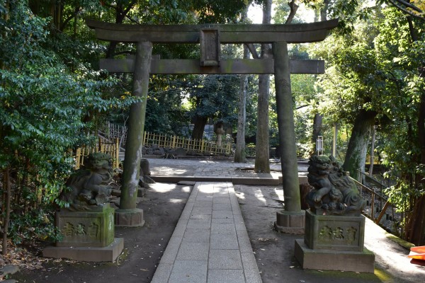 美しき狛犬が棲む渋谷最古の神社 渋谷氷川神社 : 神々に包まれる日々のblog 美しき狛犬が棲む渋谷最古の神社 渋谷氷川神社 : 神々に包まれる日々のblog
