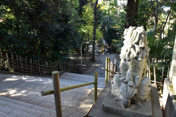 N304　狛犬の栞　約150枚おまとめ　渋谷氷川神社境内社　新見市高尾国司神社　立大宮八幡境内社ほか　紙物　ヴィンテージ　希少　非売品 1FFB196C-CE66-4926-A9EC-