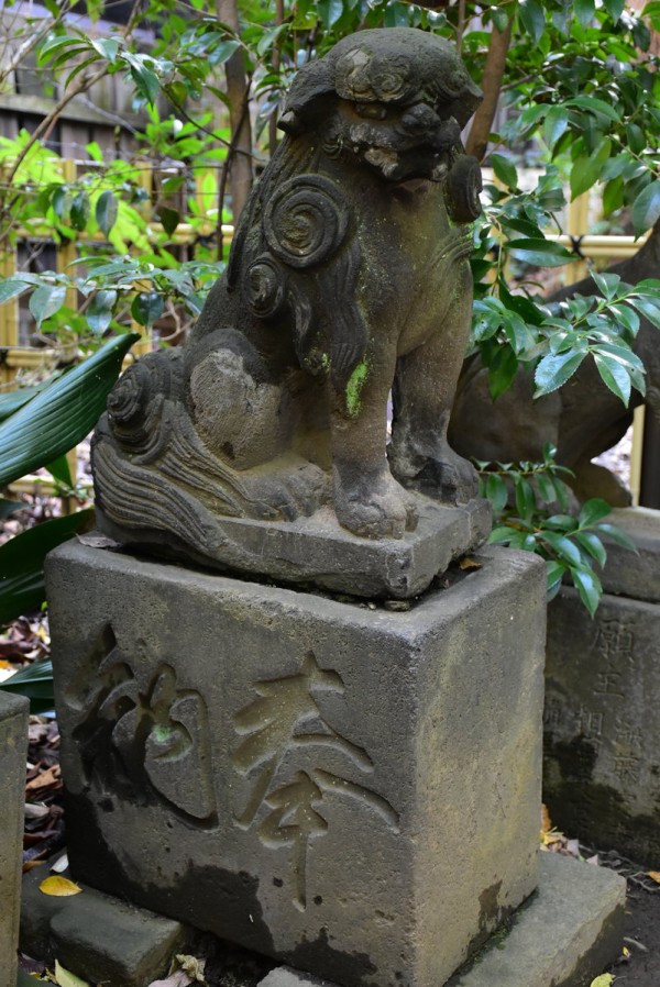 美しき狛犬が棲む渋谷最古の神社 渋谷氷川神社 : 神々に包まれる日々のblog