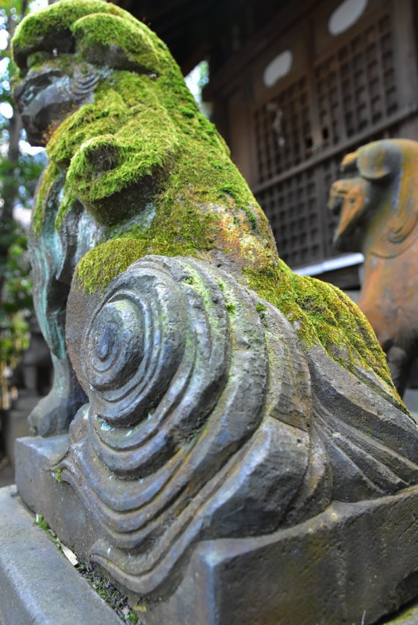 美しき狛犬が棲む渋谷最古の神社 渋谷氷川神社 : 神々に包まれる日々のblog