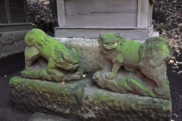 美しき狛犬が棲む渋谷最古の神社 渋谷氷川神社 : 神々に包まれる日々のblog