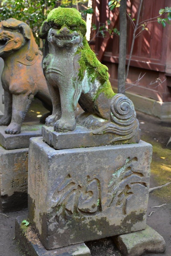 美しき狛犬が棲む渋谷最古の神社 渋谷氷川神社 : 神々に包まれる日々のblog