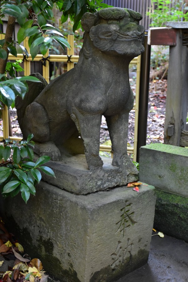 美しき狛犬が棲む渋谷最古の神社 渋谷氷川神社 : 神々に包まれる日々のblog