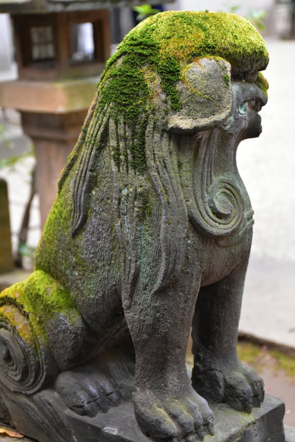 美しき狛犬が棲む渋谷最古の神社 渋谷氷川神社 : 神々に包まれる日々のblog