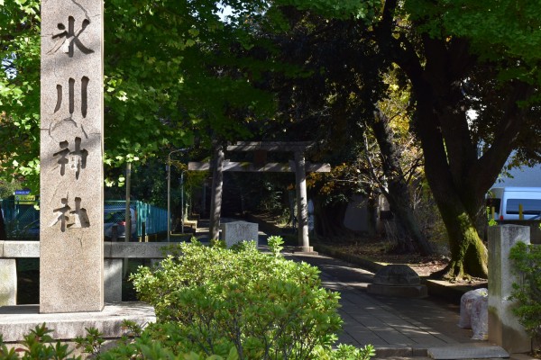 美しき狛犬が棲む渋谷最古の神社 渋谷氷川神社 : 神々に包まれる日々のblog