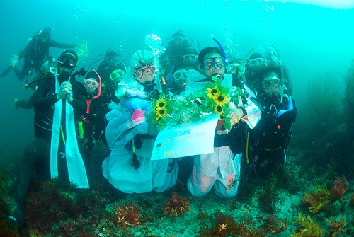 水中結婚式 ウェディングプランナーミュウの日記