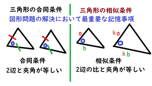 春休み自主トレ問題3月3日合同の活用 中学 数学 理科の復習サイト