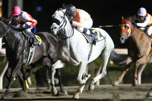 地方競馬便り 明日は北と西でナイター重賞 もしカメ ナオキ ｎｏ ぼちぼち 撮影日記