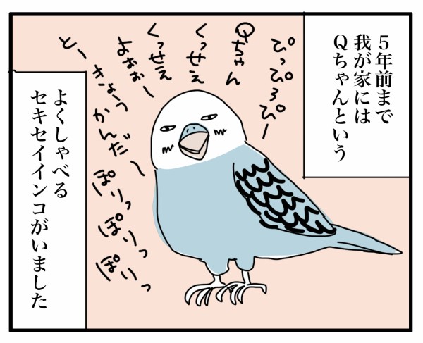 セキセイインコ飼いたい ナイフみたいにとがってら 終わりかけ反抗期男子と天然男子とアラフィフ母の日常コミックエッセイ Powered By ライブドアブログ