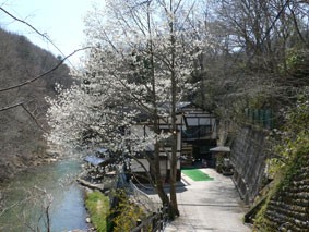 秘湯 木賊温泉 とくさ温泉 井筒屋 東北 秘湯navi 秘湯と温泉ブログ
