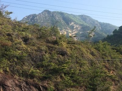 紫煙水晶を探しにゆこうっ！！（広島県江田島市編その2