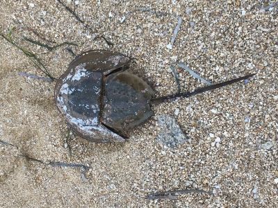 水晶を探しにゆこうっ！！（山口県山口市秋穂町編） : □ Eternal
