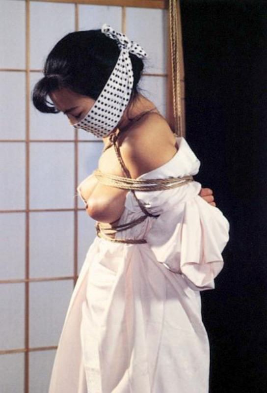 淑女緊縛画像 美しき女性の緊縛美 (184) 淑女のエロス(1) : ko_c_sanのblog