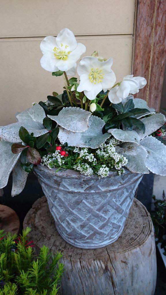 花 CoordeMaker 一覧ページ ◎90s Vintage セットアップ ネイビー L 薔薇