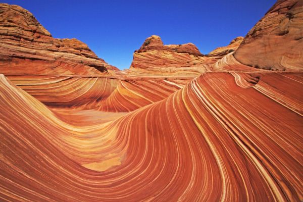 自然の力 ザ ウェーブ 感動の瞬間