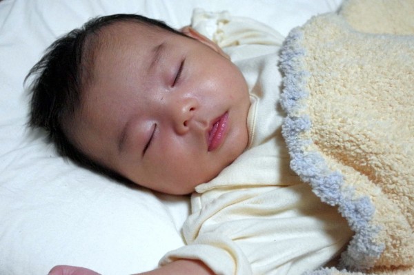 ガッツから進化中 Mum S The Word ガッツから進化中 Mum S The Word