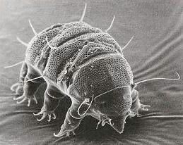 クソムシ 俺 とある暇人の独り言