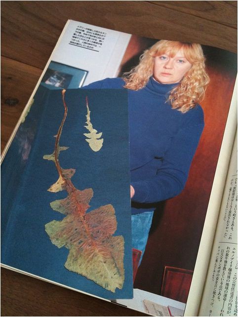 福島第一原発事故から4年目の夏 雑草の伸びが年々物凄い事になって来ている 素晴らしきかな日本人 By 小早川俊一 福島第一原発事故から4年目の夏 雑草の伸びが年々物凄い事になって来ている 素晴らしきかな日本人 By 小早川俊一