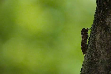 蒸し暑さはなぜ不快なのか 後悔しない家づくりblog かすがい