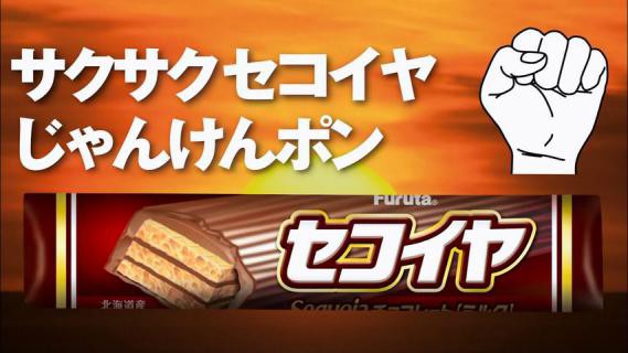 日曜ジャンケン戦争記 その二十五 猫をだます日記