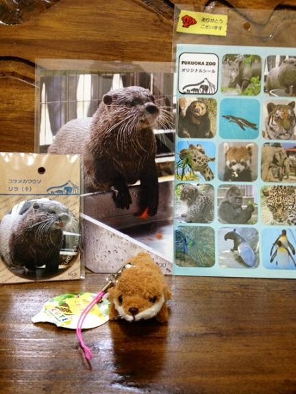 福岡市動物園のおみやげ あにまるカメラ