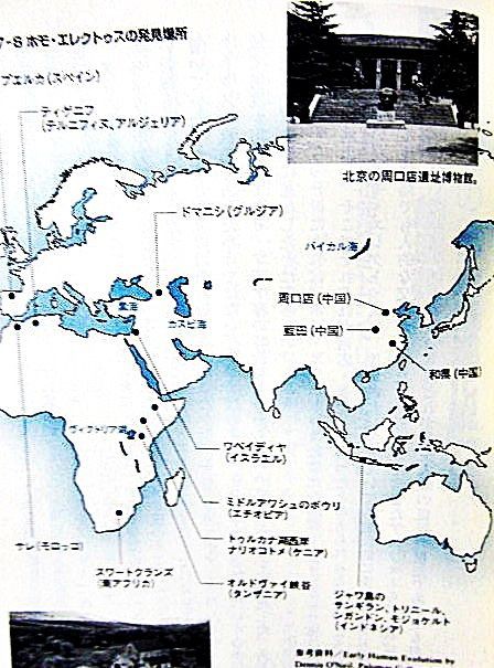 最初の火発見者で道具開発者はホモ エレクトス 民族学伝承ひろいあげ辞典