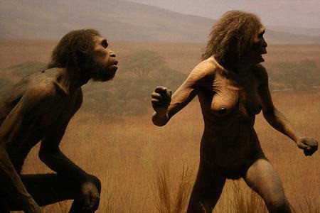 ゴリラとホモ エレクトスとホモ サピエンスの三角関係 人類の父はゴリラか 民族学伝承ひろいあげ辞典 ゴリラとホモ エレクトスとホモ サピエンスの三角関係 人類の父はゴリラか 民族学伝承ひろいあげ辞典