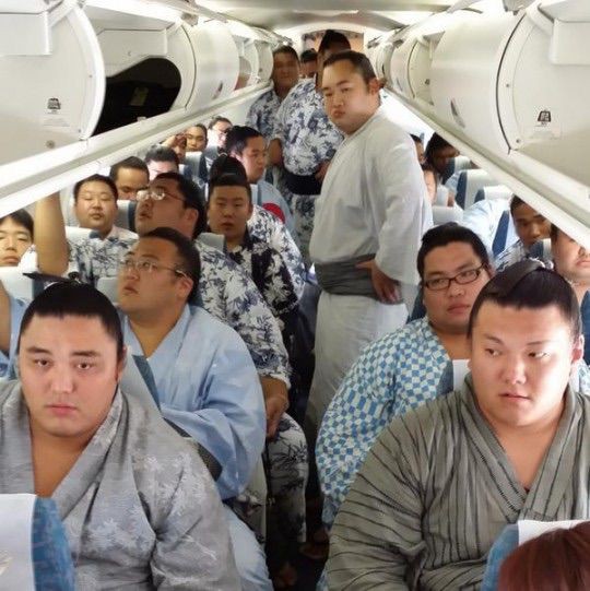 飛行機が苦手なあなたに 飛行恐怖症を克服する本 フライト 旅行 旅客機 海外 飛行機が苦手なあなたに 飛行恐怖症を克服する本 フライト 旅行