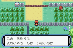 改造ポケットモンスターアクアブルーをじっくりゆっくり攻略 その1 遊び人no日常