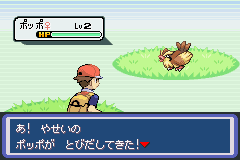 コンプリート ポケモン アクア ブルー 図鑑 壁紙引用画像hd